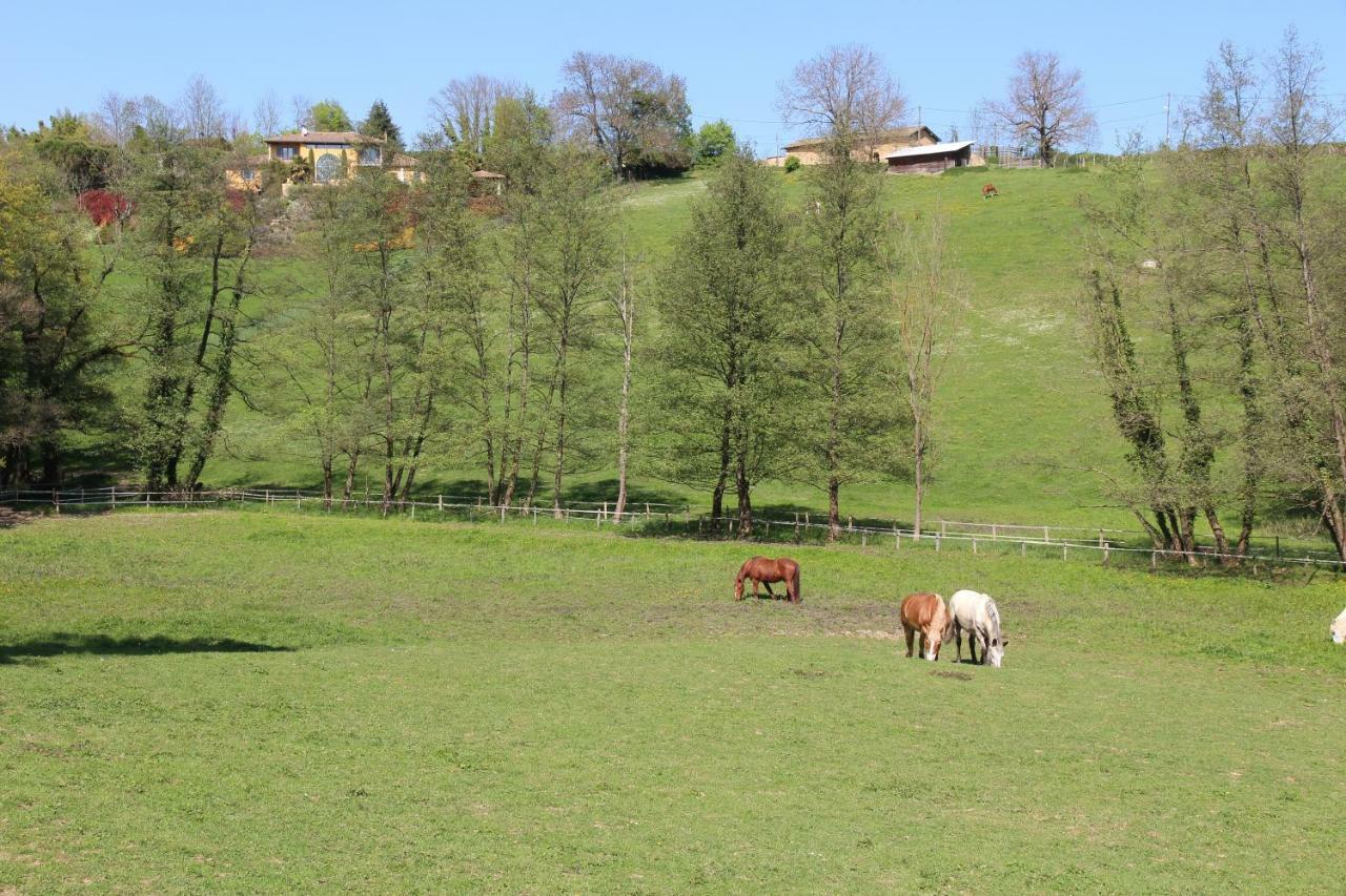 Le Vallon de Saint André Limonest Exterior foto